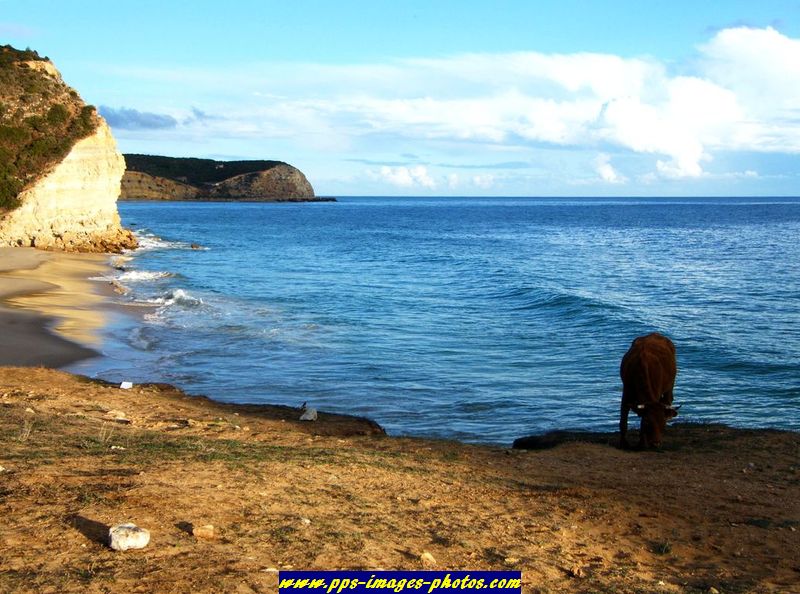 boca_d_el_rio_solena_algarve_14