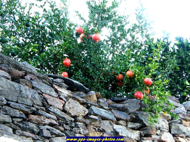 monsaraz_alentejo_8