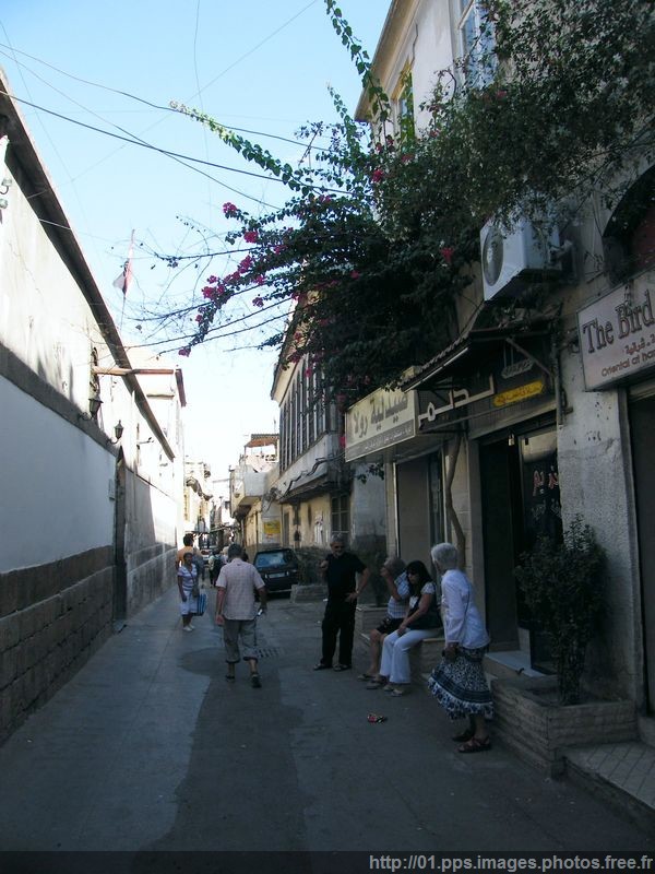 damas_40