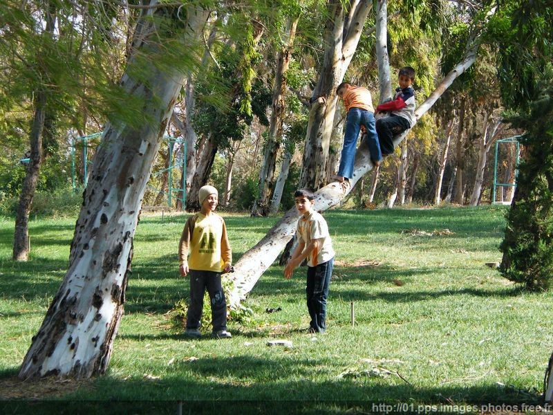 enfants_syrie_08