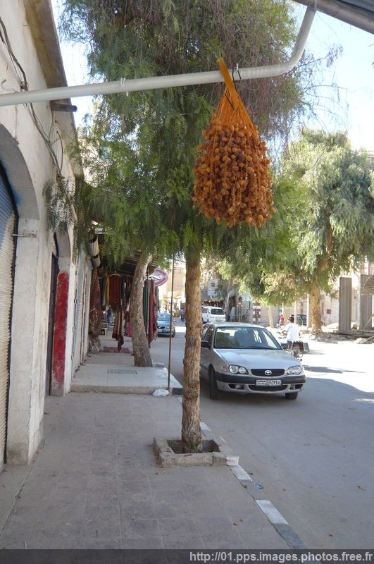 palmyre_38