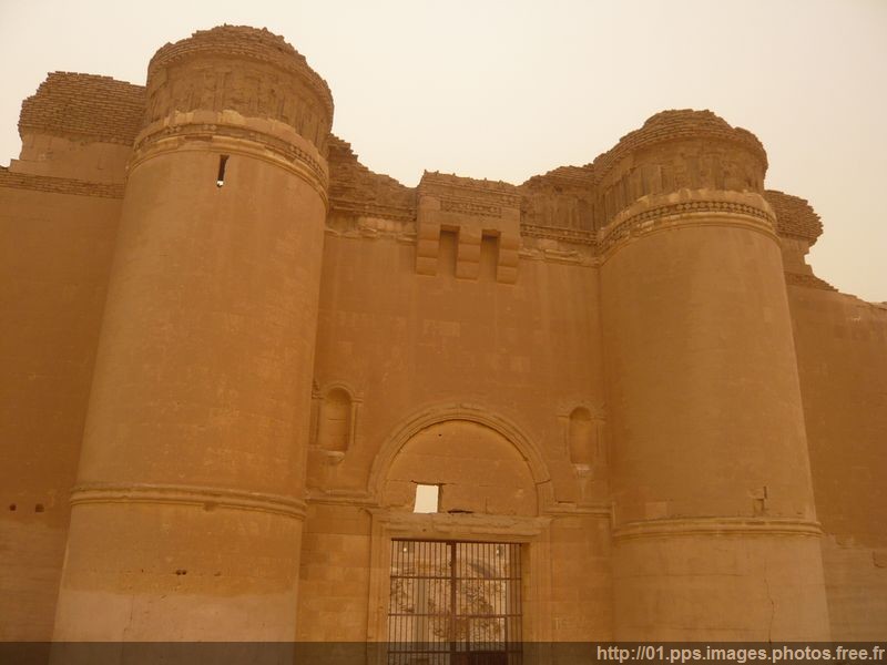 mafpak_07