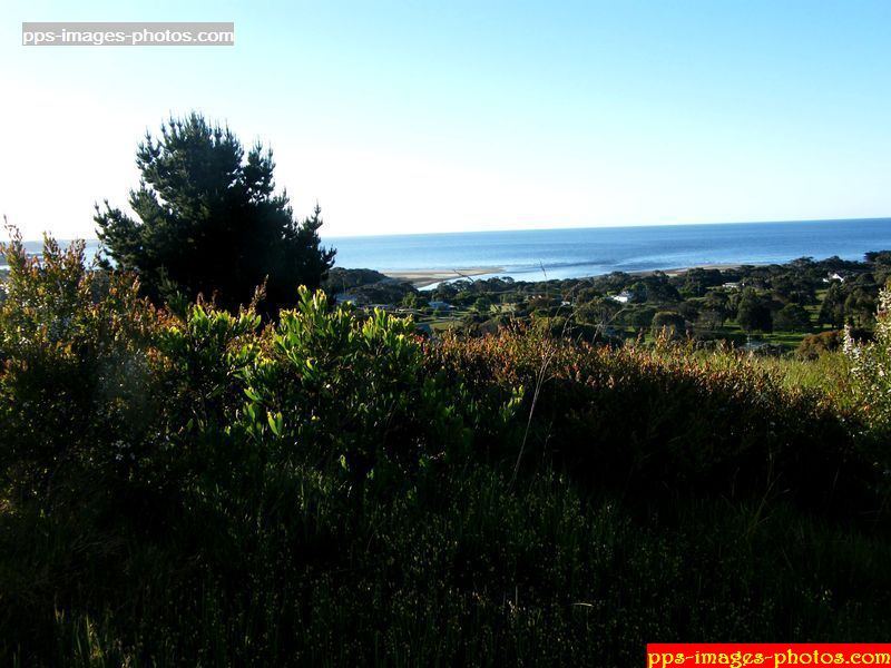 tasmanie_devenport_001