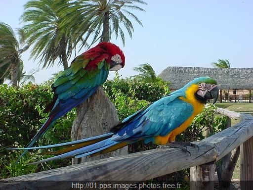 conociendovenezuela_008