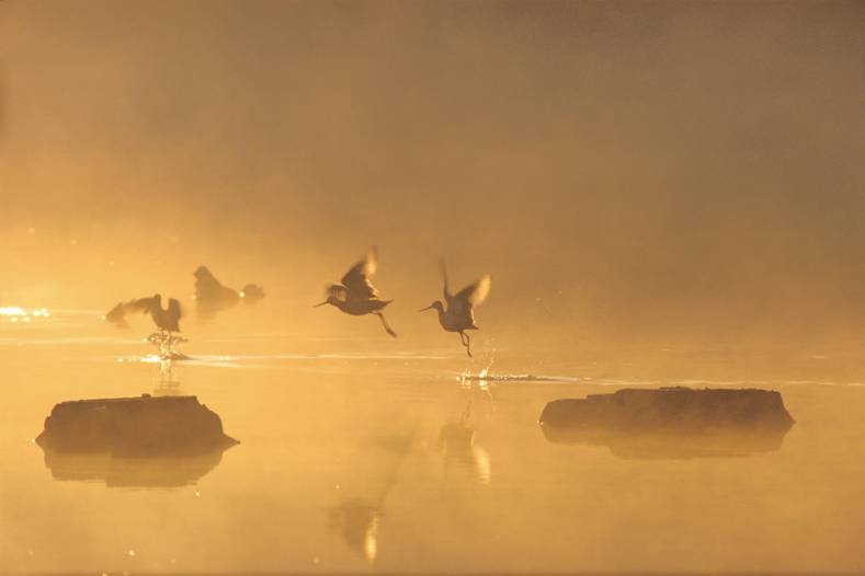 fotosnaturaleza_003