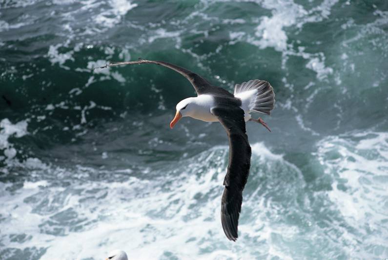 fotosnaturaleza_005