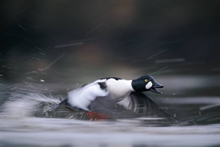 fotosnaturaleza_010