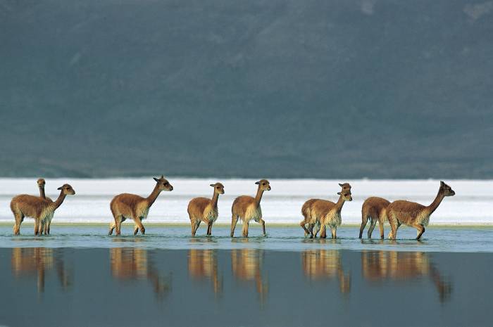 fotosnaturaleza_011