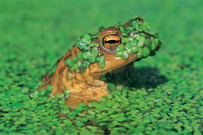 fotosnaturaleza_013