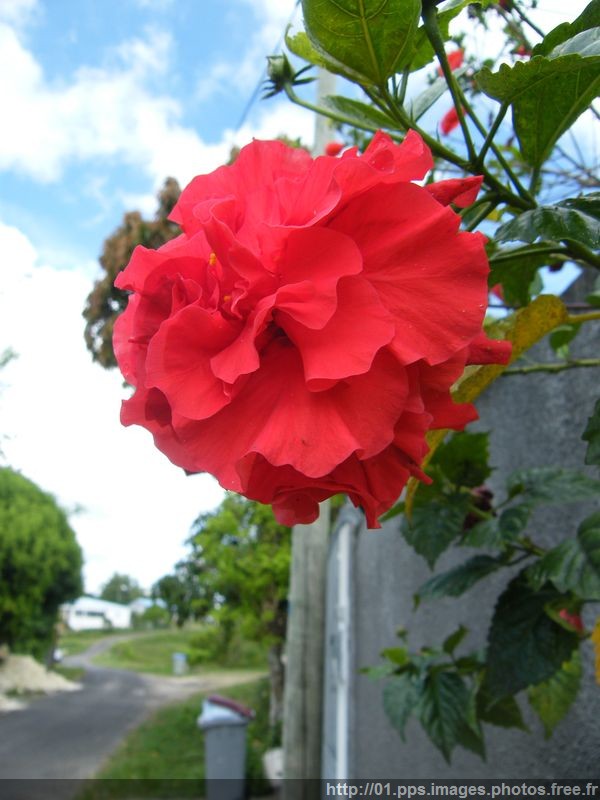 dscf0534