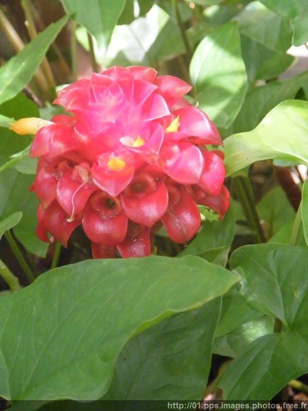 dscf0902