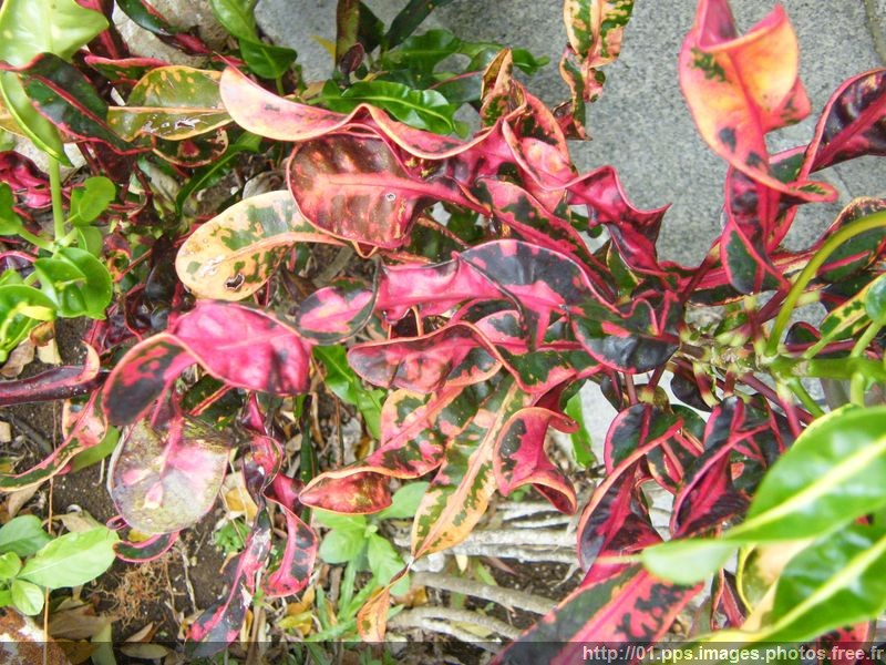 dscf0538