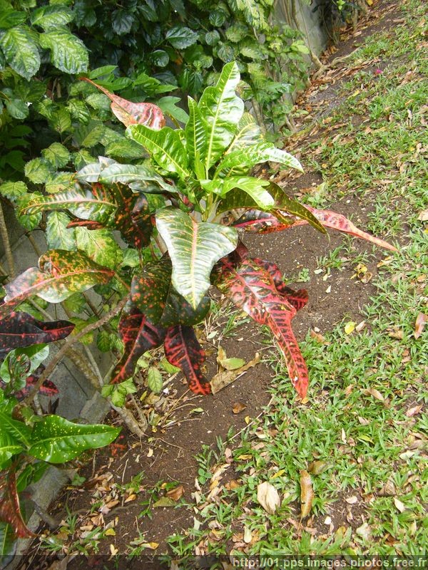 dscf0539