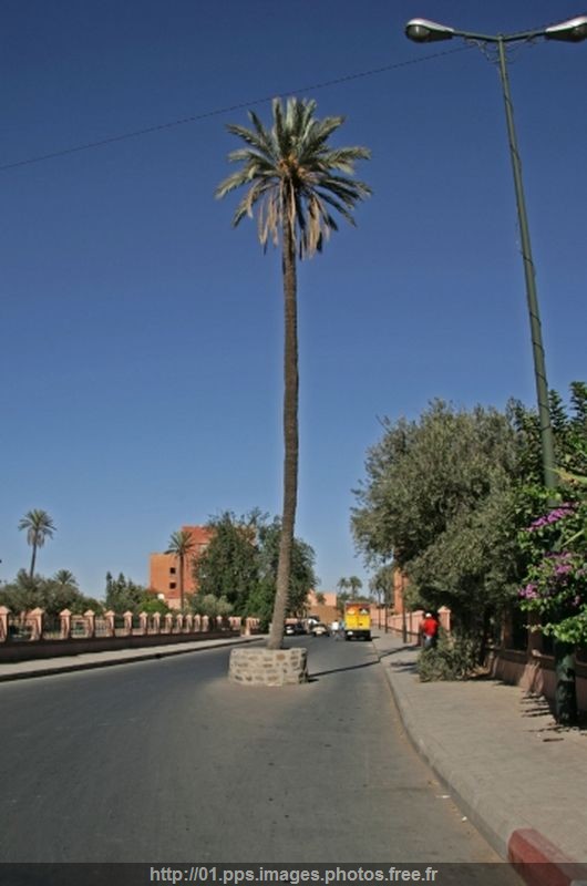 autres-insolite-marrakech-maroc-1096437621-1113769