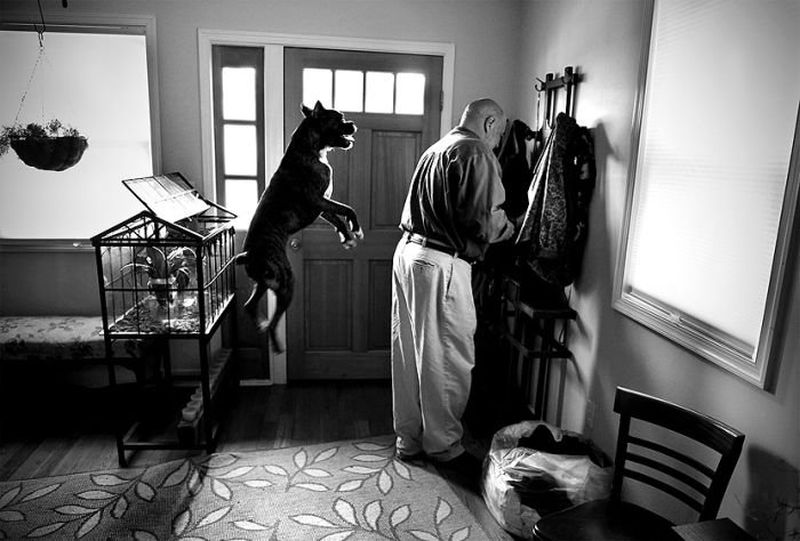 insolite_13
