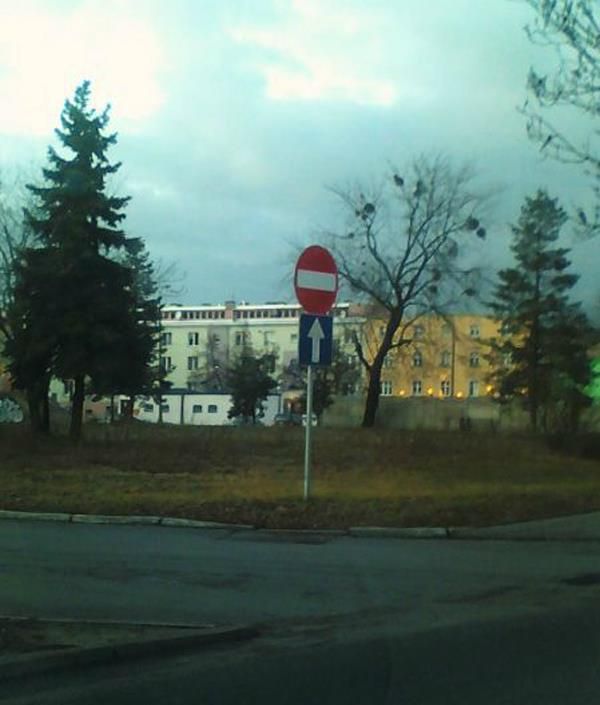 insolite_26