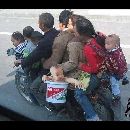 cliquez ici pour voir l'image (insolite_04.jpg)