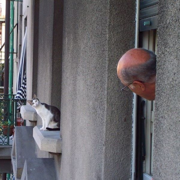 insolite_48