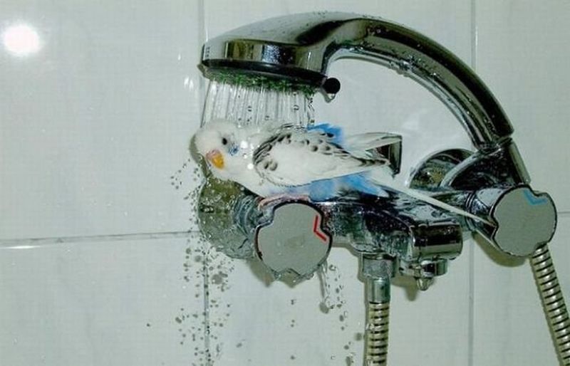 insolite_58
