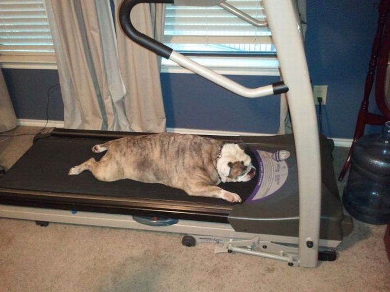 insolite_75