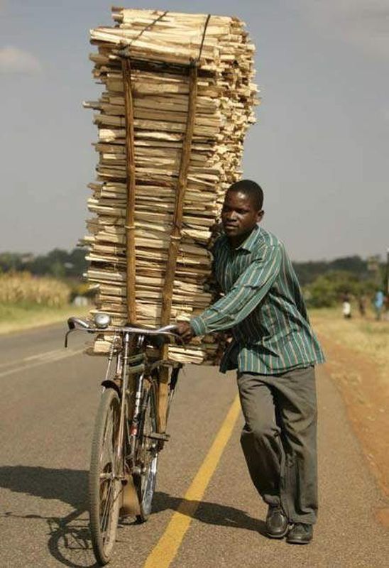 insolite_105