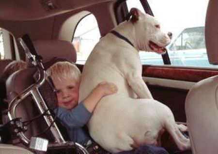 insolite_112