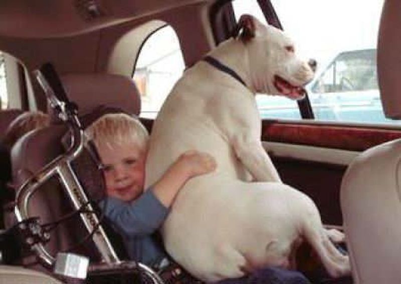 insolite_85