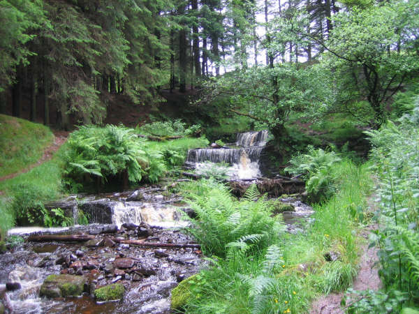 cascade