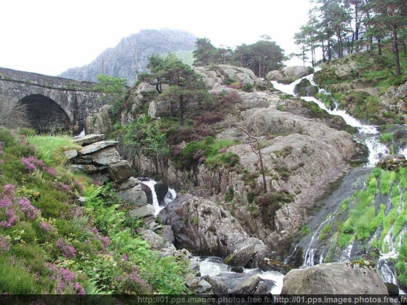 wales4