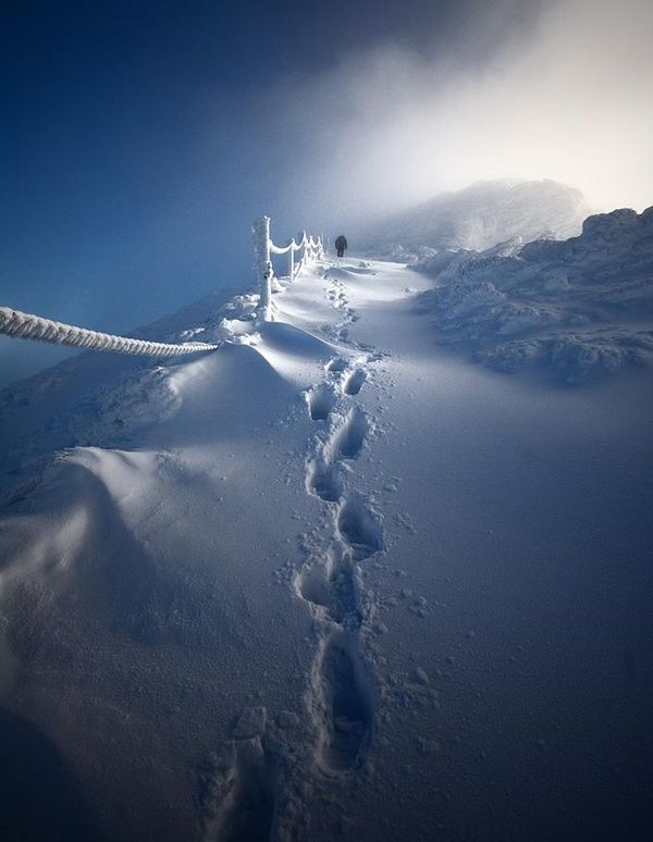 paysages_279