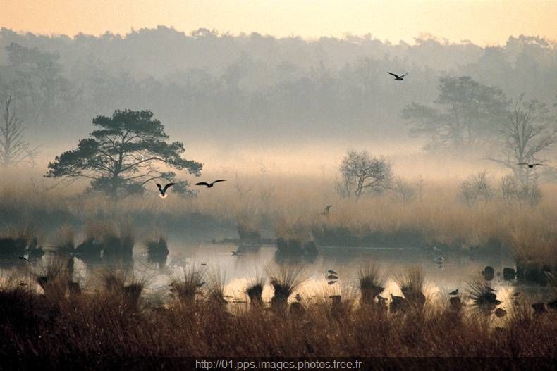 paysages_301