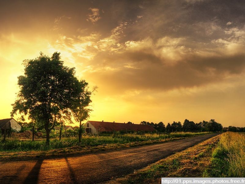 paysages_308