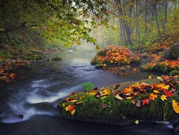paysages_311