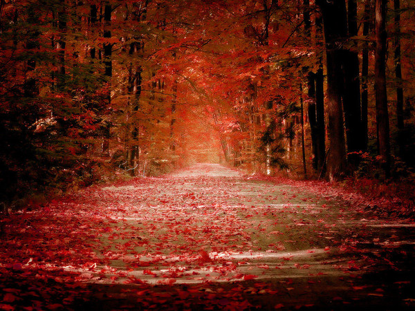 paysages_317