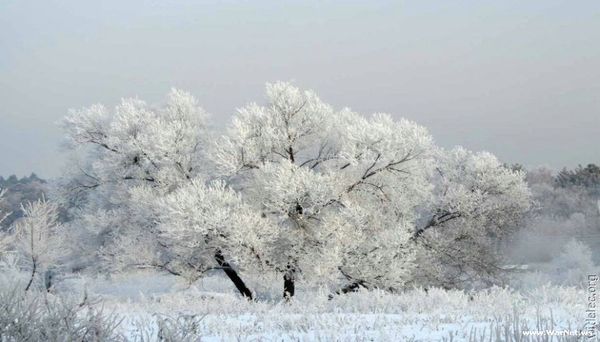 paysages_359