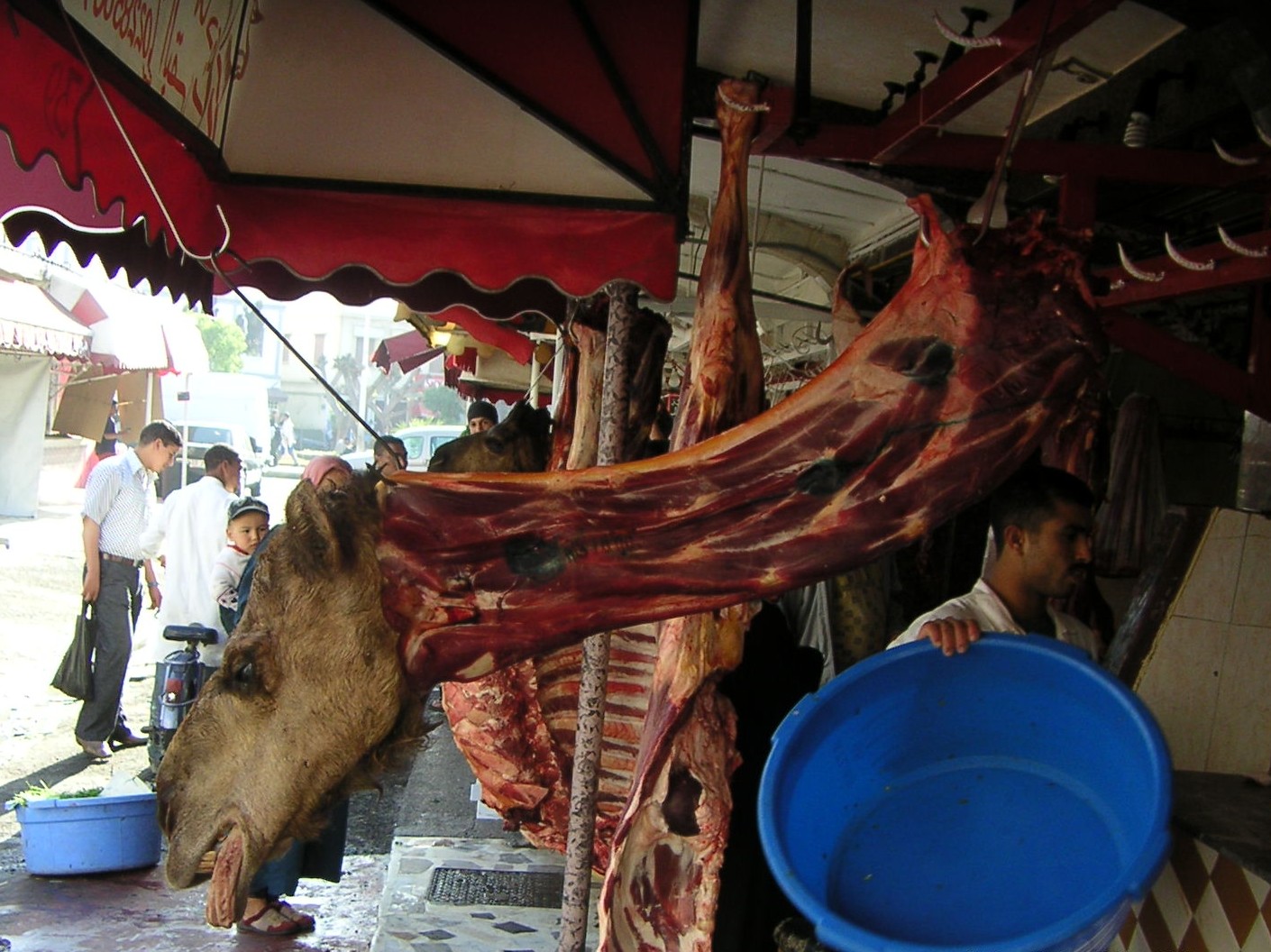 marrakech_54