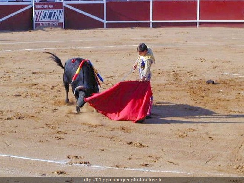 corrida_03