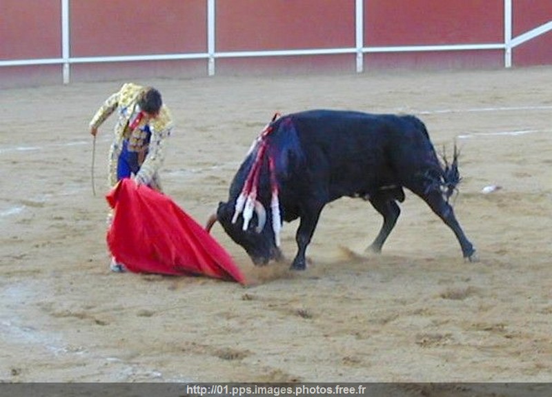 corrida_10