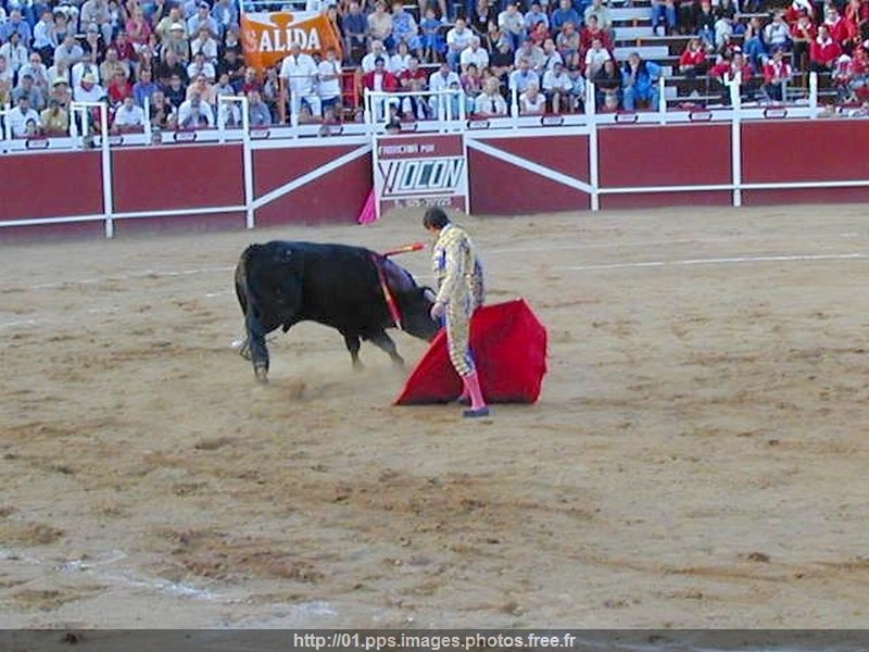 corrida_11