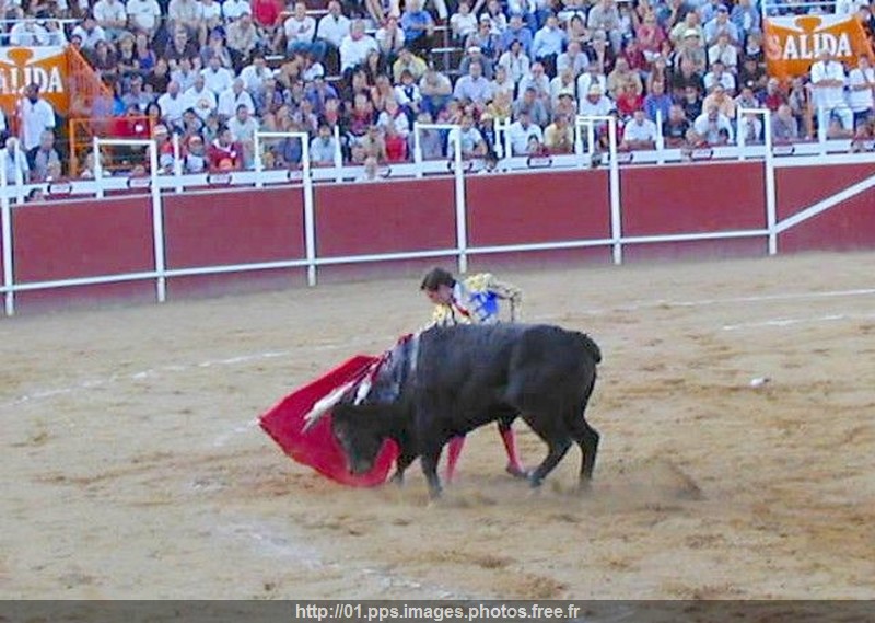 corrida_13