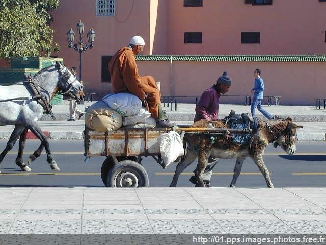 marrakech_07