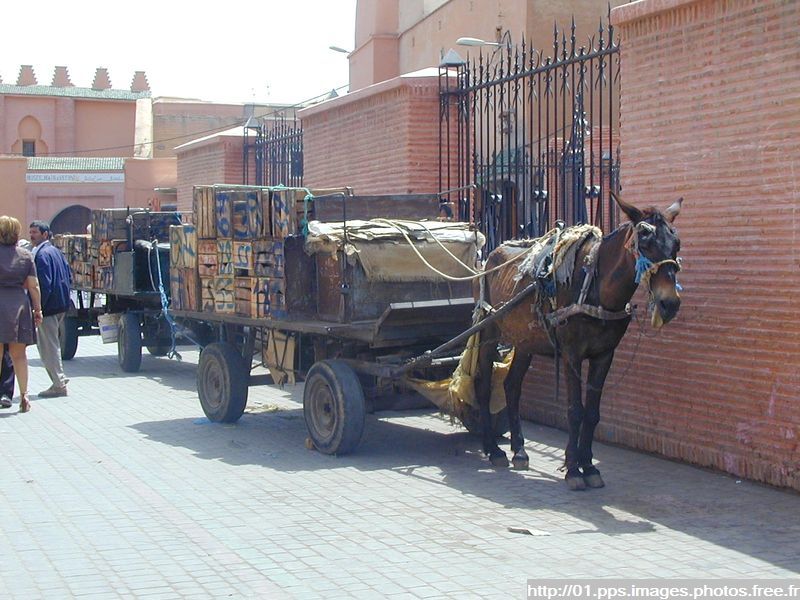 marrakech_28