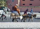 cliquez ici pour voir l'image (marrakech_07.jpg)