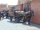 cliquez ici pour voir l'image (marrakech_28.jpg)