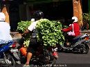 cliquez ici pour voir l'image (motos-au-bout-du-monde-rues-bali-indonesie-1009836812-1086135.jpg)