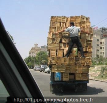 transport_91