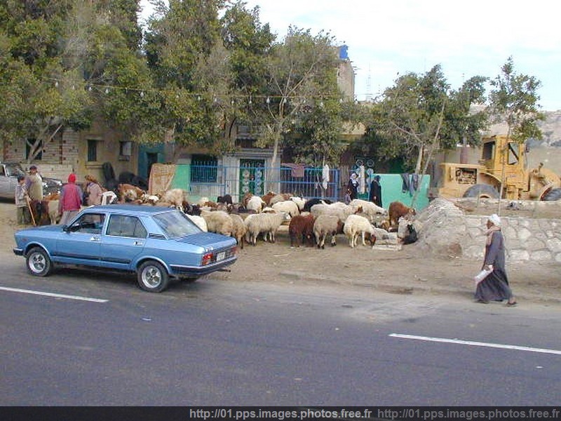 le_caire_02