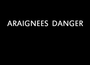 araignees_danger